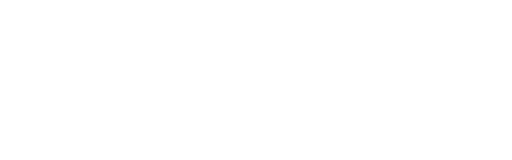 Software Solution Company Logo